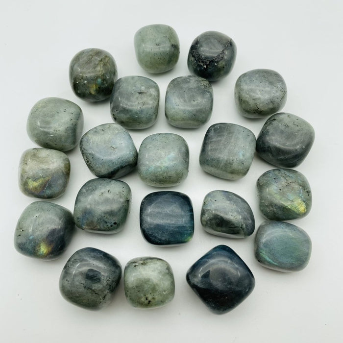 Labradorite Tumbled Free Form Wholesale