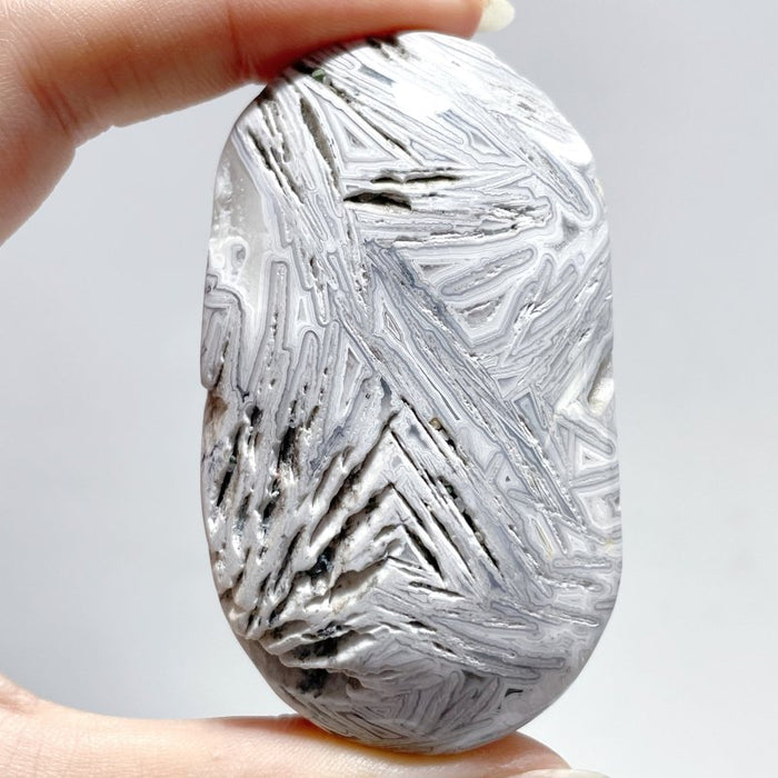 Morocco Agate Palm Wholesale