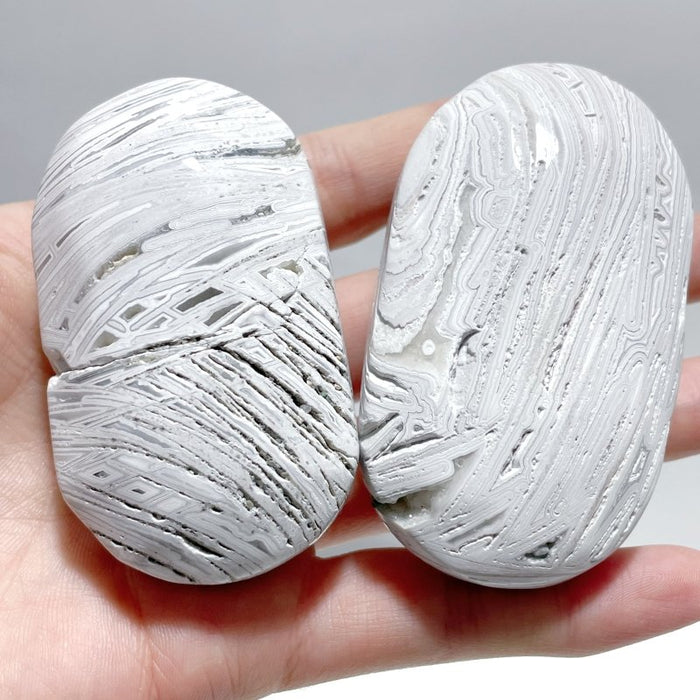 Morocco Agate Palm Wholesale