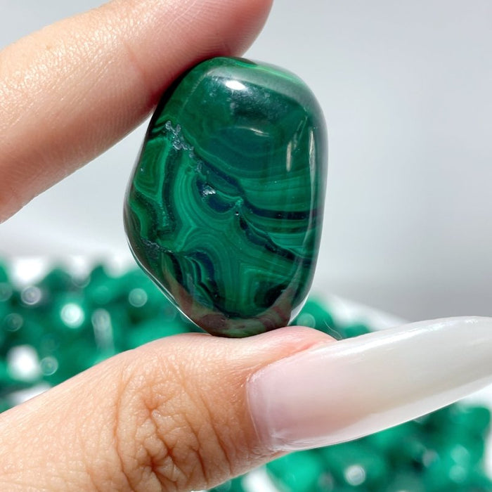 Natural Beautiful Malachite Tumbled Wholesale