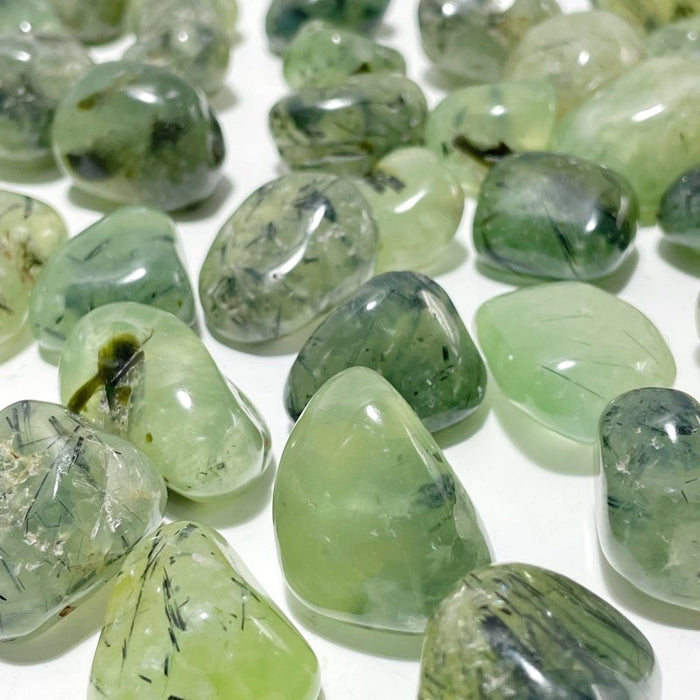 Natural Green Prehnite Tumbled Wholesale
