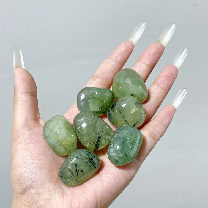 Natural Green Prehnite Tumbled Wholesale