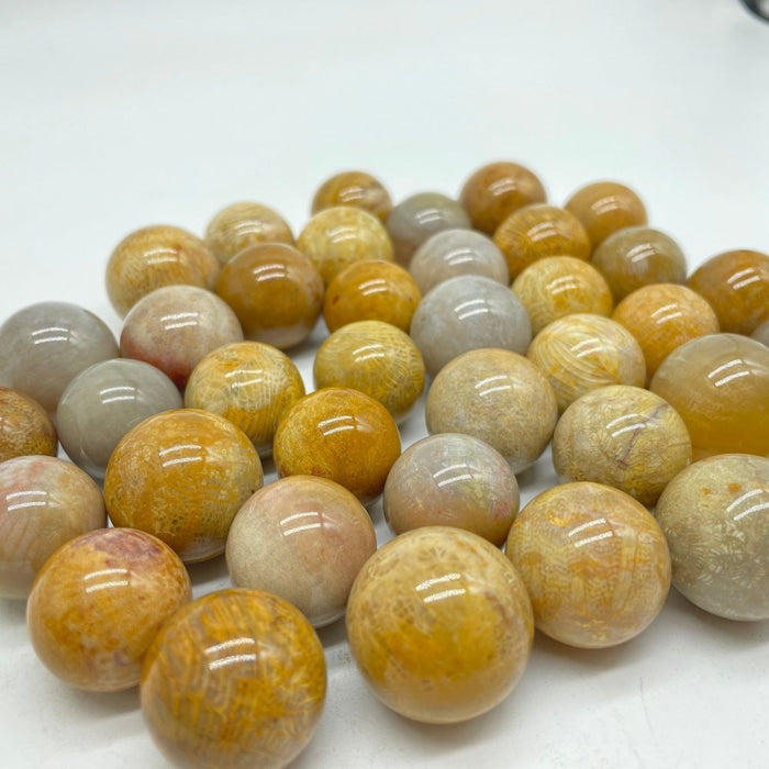 Natural Jade Coral Sphere Ball Wholesale