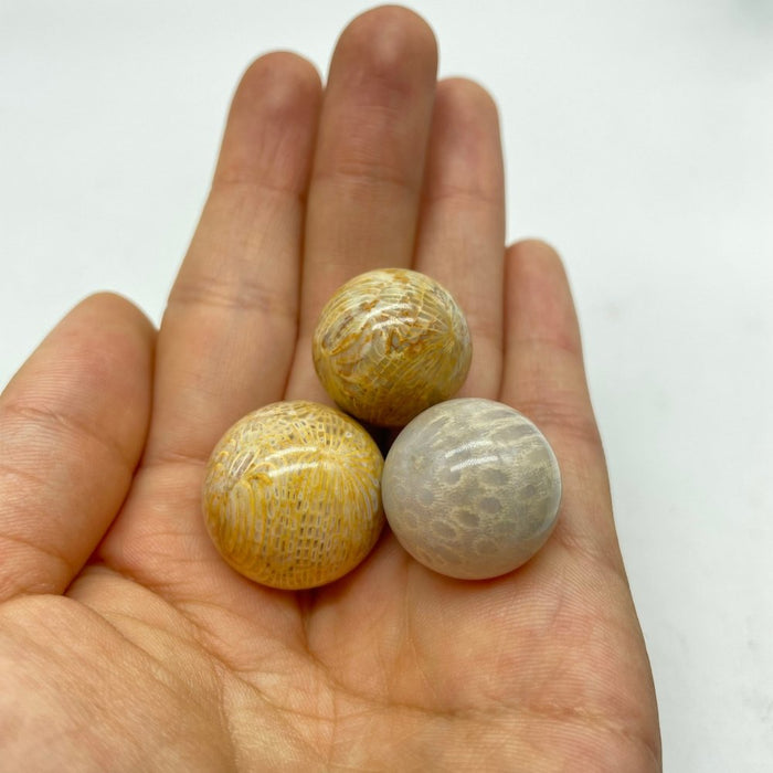 Natural Jade Coral Sphere Ball Wholesale