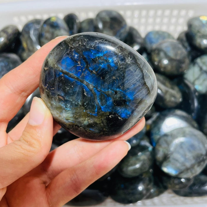 Normal Quality Labradorite Palm Closeout