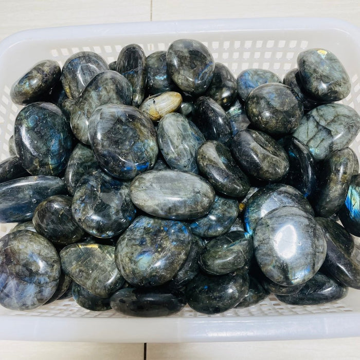 Normal Quality Labradorite Palm Closeout