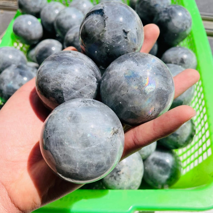 Normal Quality Labradorite Spheres Ball Wholesale