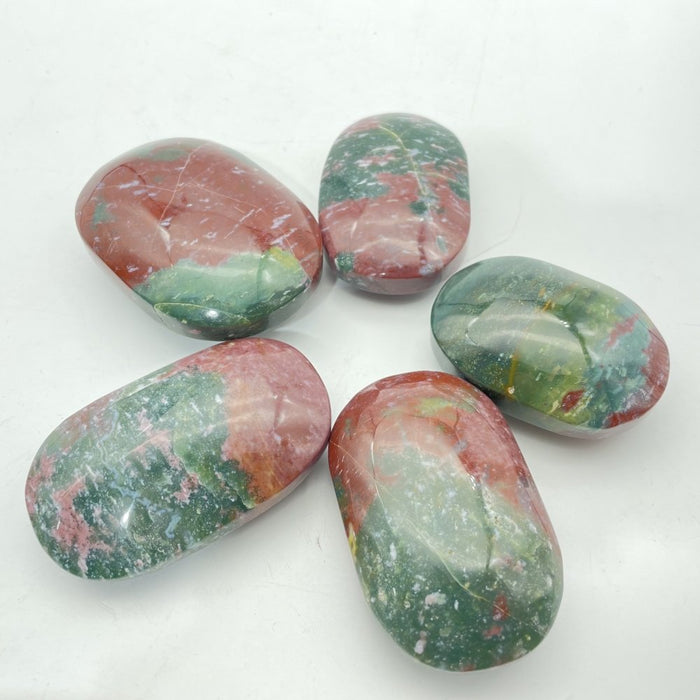 Ocean Jasper Palm Wholesale