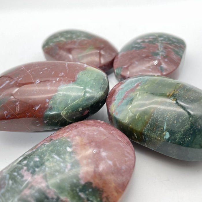 Ocean Jasper Palm Wholesale