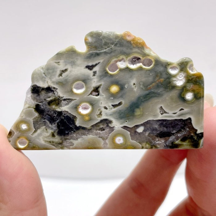 Polished 8th Vein Ocean Jasper Free Form Mixed Size Wholesale