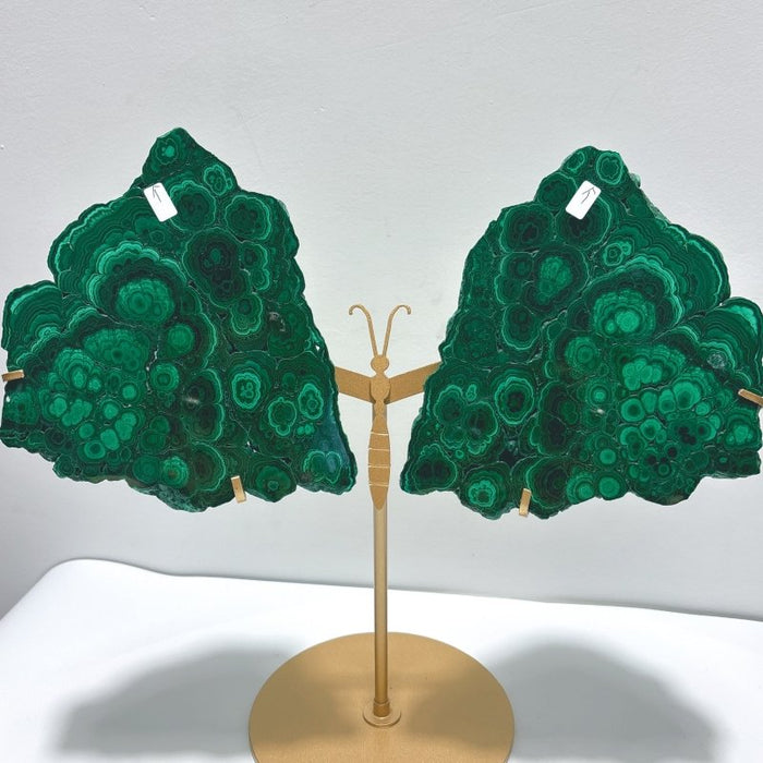 Polished Malachite Raw Slab Butterfly Wing With Stand (#9)
