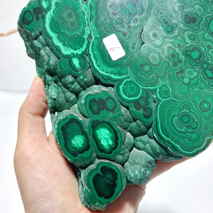 Polished Malachite Raw Slab Butterfly Wing With Stand (#9)