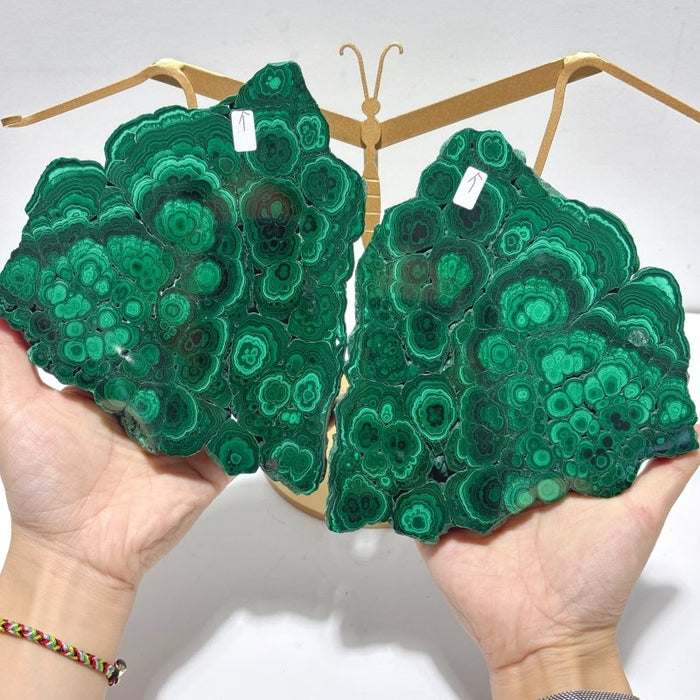 Polished Malachite Raw Slab Butterfly Wing With Stand (#9)
