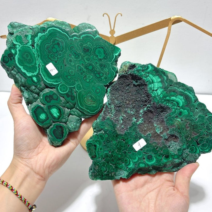 Polished Malachite Raw Slab Butterfly Wing With Stand (#9)