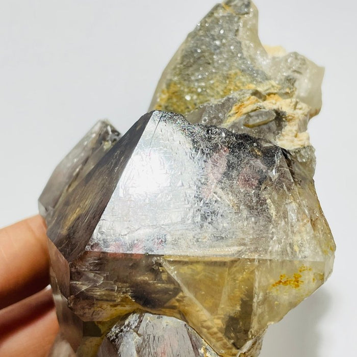 Record Keeper Enhydro Smoky Quartz Backbone Healing Energy Crystal