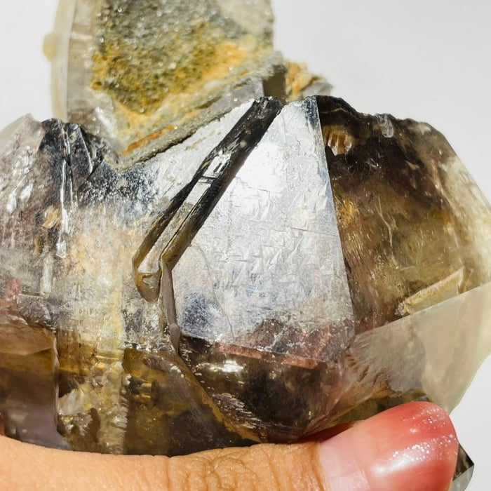 Record Keeper Enhydro Smoky Quartz Backbone Healing Energy Crystal