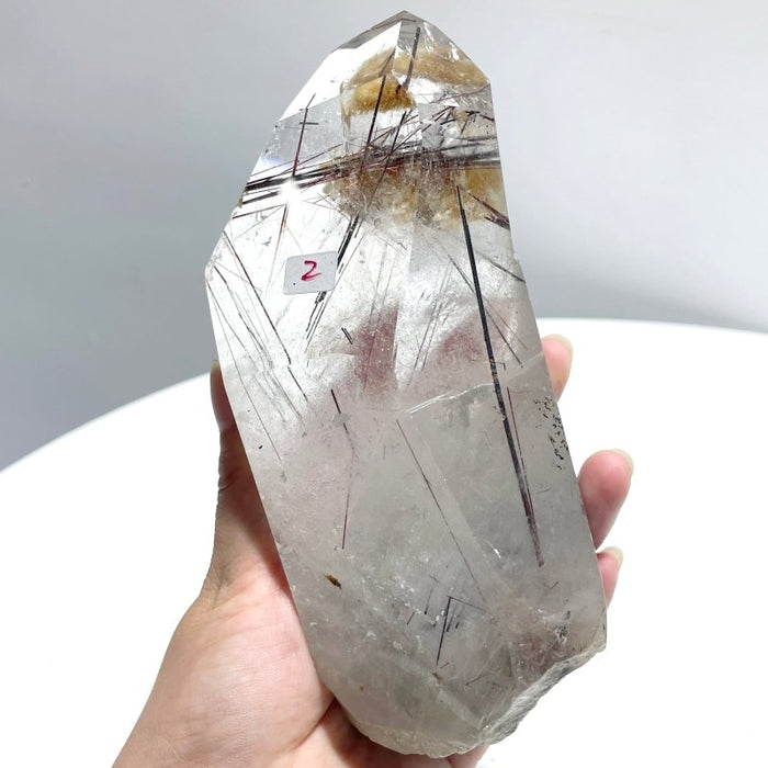 Rutile Mixed Garden Quartz Raw Bottom Point With Stand