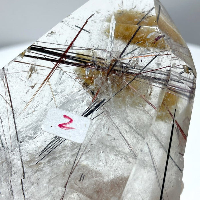 Rutile Mixed Garden Quartz Raw Bottom Point With Stand