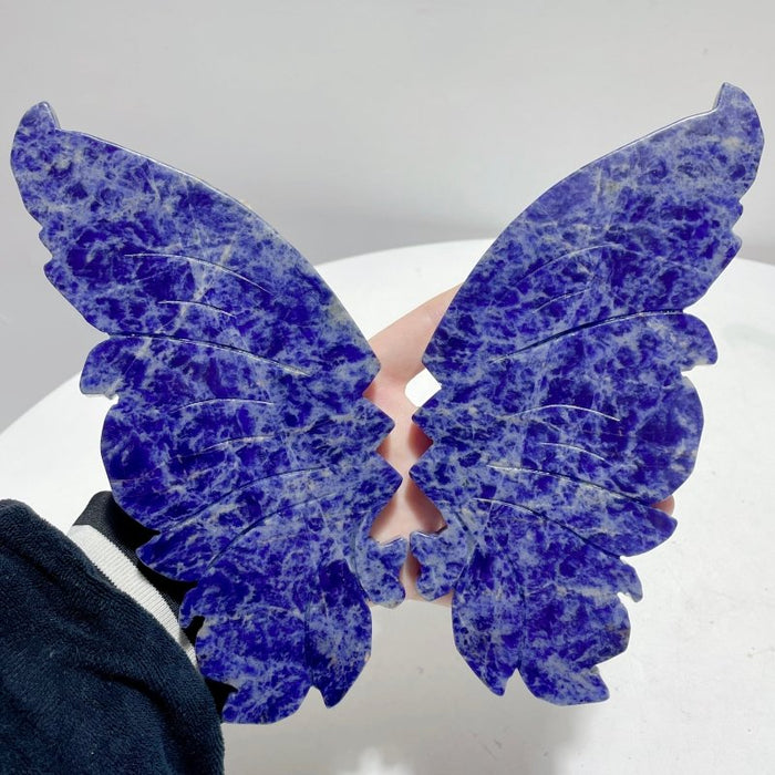 Unique Blue Sodalite Butterfly Wing Carving With Stand
