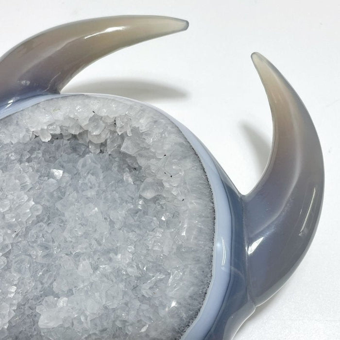 Unique Large Geode Druzy Agate Demon Sheep Head Carving