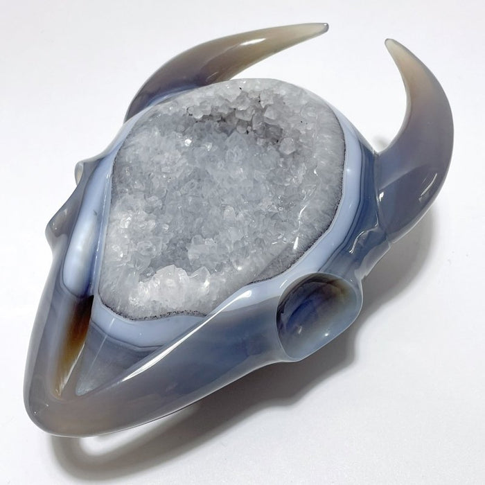 Unique Large Geode Druzy Agate Demon Sheep Head Carving