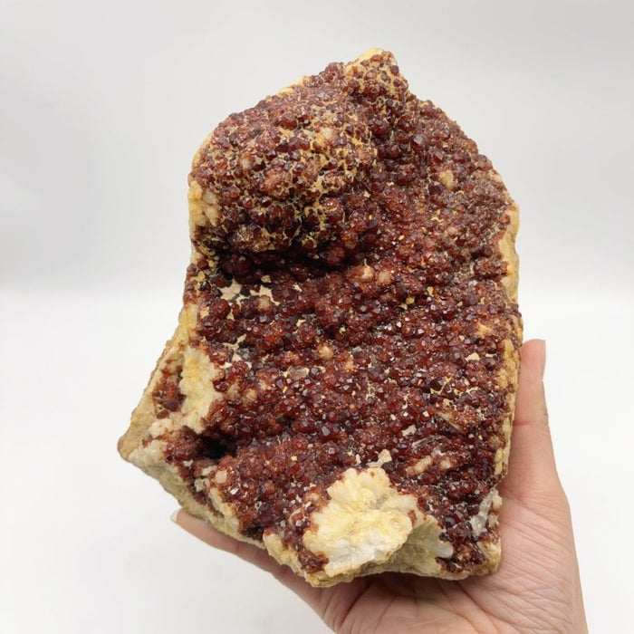 Unique Natural Color Garnet Crystal Specimen